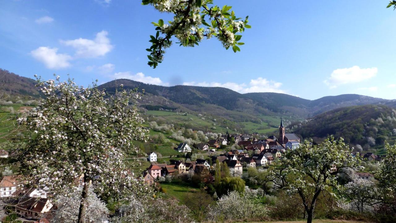 Les Gites La Cerisaie Breitenbach Eksteriør bilde