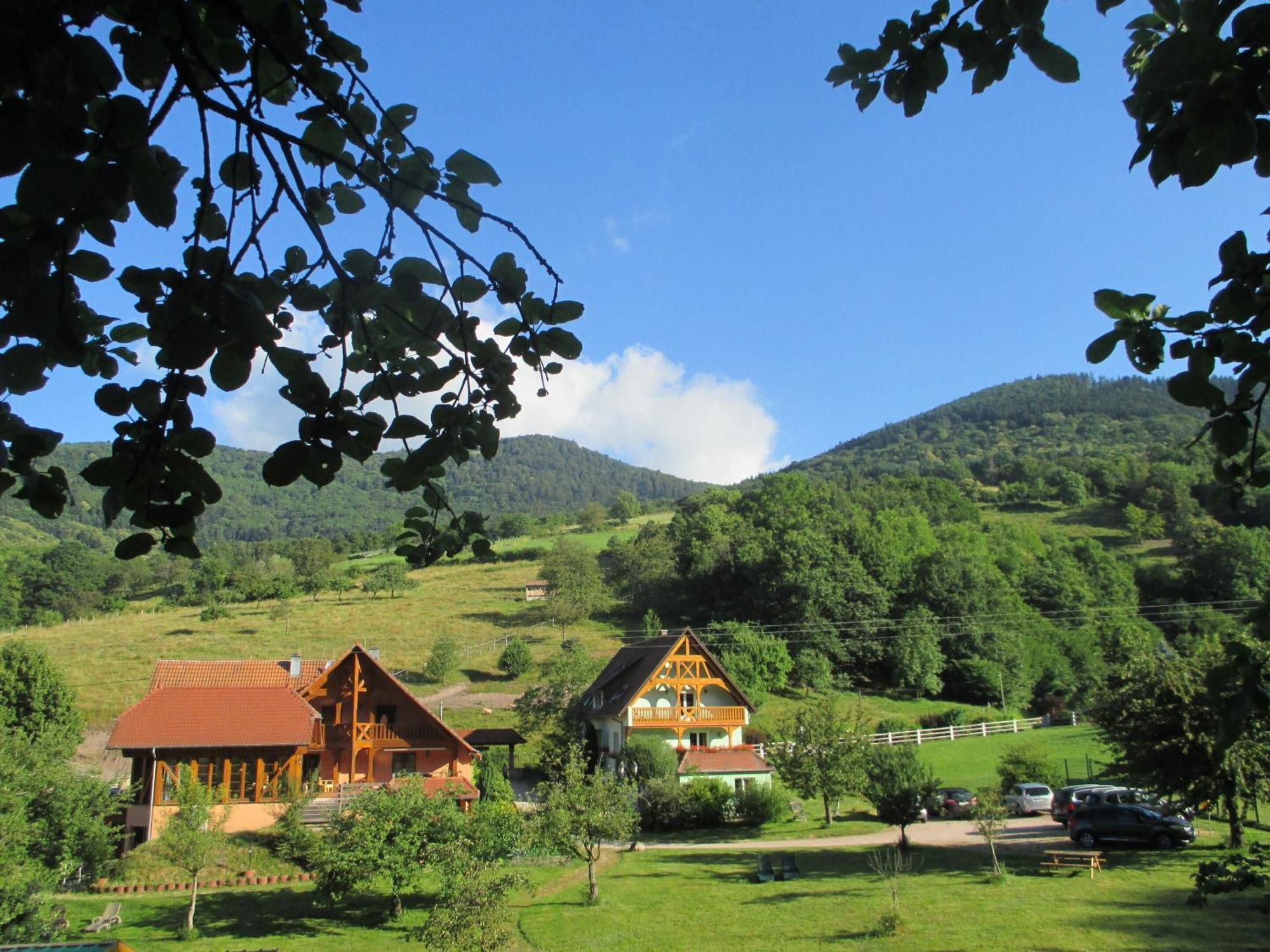 Les Gites La Cerisaie Breitenbach Rom bilde